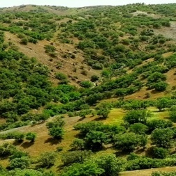 منابع طبیعی