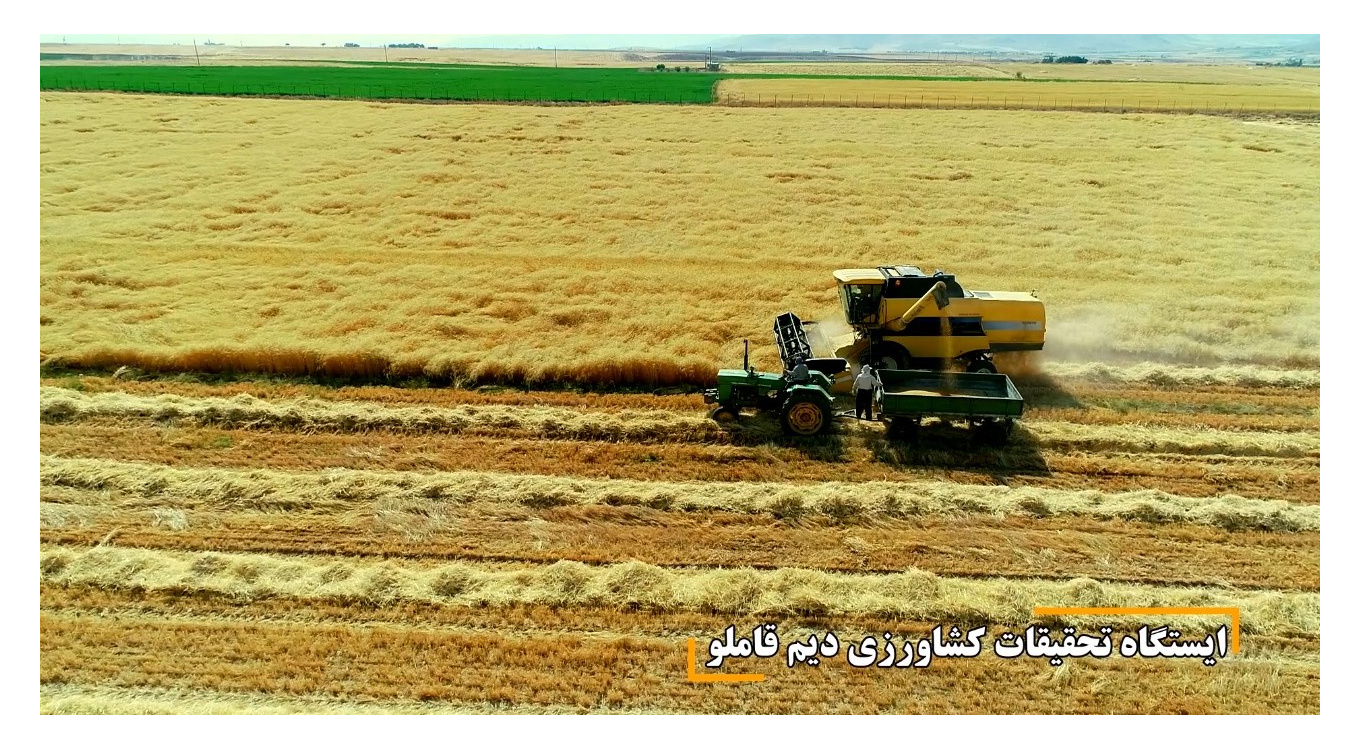 زراعت
