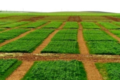 ایستگاه قاملو