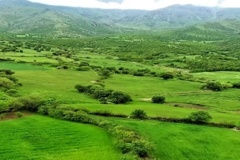 ایستگاه گاران