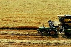 ایستگاه سارال