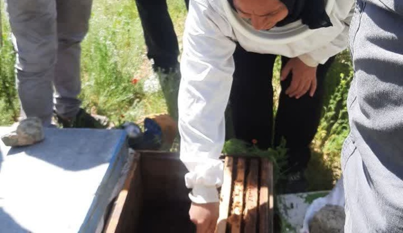 عکس