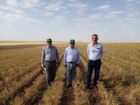 بازدید معاون بهبود تولیدات گیاهی سازمان جهاد کشاورزی استان کردستان و هیئت همراه از موسسه دیم   به گزارش روابط عموم