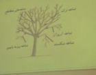 دوره آموزشی «هرس درختان هسته‌دار» با رویکرد ارتقای دانش فنی بهره‌برداران در سنندج برگزار شد.