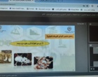 برگزاری دوره آموزشی «استراتژی‌های نوین کنترل کنه واروآ در کلنی‌های زنبور عسل»