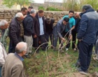 حرکت هدفمند به سوی ارتقای بهره‌وری در تاکستان‌های بیجار