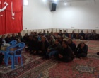 حرکت هدفمند به سوی ارتقای بهره‌وری در تاکستان‌های بیجار