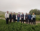 ایستگاه تحقیقاتی گریزه در مسیر کشاورزی دانش‌بنیان؛ تأکید بر نوسازی مزارع و معرفی ارقام پربازده