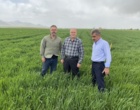 پایش میدانی گندم در کردستان، گامی راهبردی در راستای امنیت غذایی