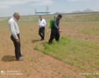 بازدید رئیس مرکز کردستان از پروژه ملی pNT