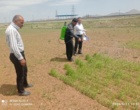 بازدید رئیس مرکز کردستان از پروژه ملی pNT