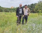 تجربیات پنج‌ساله مجری طرح  احیای مراتع و تولید علوفه در روز انتقال یافته ها