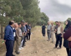 تجربیات پنج‌ساله مجری طرح  احیای مراتع و تولید علوفه در روز انتقال یافته ها