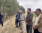 تجربیات پنج‌ساله مجری طرح  احیای مراتع و تولید علوفه در روز انتقال یافته ها