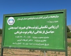 معرفی نخستین ژنوتیپ‌های اصلاح‌شده «توت‌فرنگی ایرانی» با رکوردشکنی در عملکرد و سازگاری اقلیمی در ایستگاه تحقیقاتی گریزه