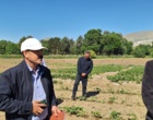 معرفی نخستین ژنوتیپ‌های اصلاح‌شده «توت‌فرنگی ایرانی» با رکوردشکنی در عملکرد و سازگاری اقلیمی در ایستگاه تحقیقاتی گریزه