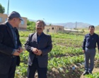 معرفی نخستین ژنوتیپ‌های اصلاح‌شده «توت‌فرنگی ایرانی» با رکوردشکنی در عملکرد و سازگاری اقلیمی در ایستگاه تحقیقاتی گریزه