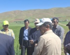 ویترین نوآوری‌های دیم‌کاری کشور در موچش؛ جدیدترین ارقام گندم، جو و حبوبات علوفه‌ای زیر ذره‌بین متخصصان وزارت جهاد کشاورزی