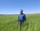کردستان در مسیر تحقق ۱۰۰ درصدی تولید بذر جو