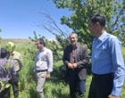 کردستان در مسیر تحقق ۱۰۰ درصدی تولید بذر جو