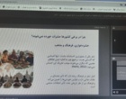 حشرات خوراکی؛ فرصتی نوظهور برای تقویت امنیت غذایی در جهان امروز