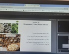 حشرات خوراکی؛ فرصتی نوظهور برای تقویت امنیت غذایی در جهان امروز