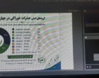 حشرات خوراکی؛ فرصتی نوظهور برای تقویت امنیت غذایی در جهان امروز