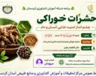 حشرات خوراکی؛ فرصتی نوظهور برای تقویت امنیت غذایی در جهان امروز