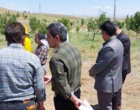 زنبورداری در مسیر تحول؛ تجربه‌ای نو از دل بیجار