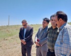 زنبورداری در مسیر تحول؛ تجربه‌ای نو از دل بیجار