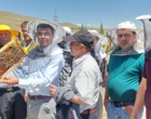 زنبورداری در مسیر تحول؛ تجربه‌ای نو از دل بیجار