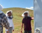 زنبورداری در مسیر تحول؛ تجربه‌ای نو از دل بیجار