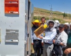 زنبورداری در مسیر تحول؛ تجربه‌ای نو از دل بیجار