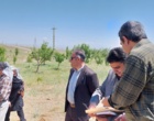زنبورداری در مسیر تحول؛ تجربه‌ای نو از دل بیجار