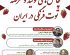 نقش‌آفرینی پژوهشگران کردستان در ترسیم آینده تولید و زنجیره ارزش توت‌فرنگی کشور