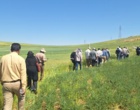دانش در خدمت خاک؛ برگزاری دوره تخصصی کشاورزی حفاظتی برای کارشناسان شمال استان