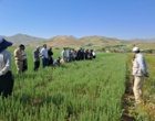 دانش در خدمت خاک؛ برگزاری دوره تخصصی کشاورزی حفاظتی برای کارشناسان شمال استان