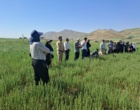 دانش در خدمت خاک؛ برگزاری دوره تخصصی کشاورزی حفاظتی برای کارشناسان شمال استان