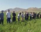 دانش در خدمت خاک؛ برگزاری دوره تخصصی کشاورزی حفاظتی برای کارشناسان شمال استان