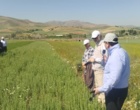 دانش در خدمت خاک؛ برگزاری دوره تخصصی کشاورزی حفاظتی برای کارشناسان شمال استان