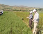 دانش در خدمت خاک؛ برگزاری دوره تخصصی کشاورزی حفاظتی برای کارشناسان شمال استان