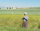 دانش در خدمت خاک؛ برگزاری دوره تخصصی کشاورزی حفاظتی برای کارشناسان شمال استان