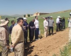 دانش در خدمت خاک؛ برگزاری دوره تخصصی کشاورزی حفاظتی برای کارشناسان شمال استان