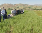 دانش در خدمت خاک؛ برگزاری دوره تخصصی کشاورزی حفاظتی برای کارشناسان شمال استان