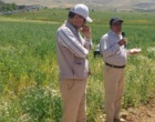 دانش در خدمت خاک؛ برگزاری دوره تخصصی کشاورزی حفاظتی برای کارشناسان شمال استان