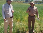 دانش در خدمت خاک؛ برگزاری دوره تخصصی کشاورزی حفاظتی برای کارشناسان شمال استان
