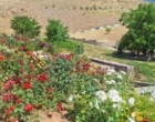 جنگل؛ سرمایه‌ای فراتر از چوب | برگزاری رویداد «روز انتقال یافته‌های تحقیقاتی» با محوریت ارزش‌گذاری خدمات بوم‌سازگان