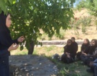 جنگل؛ سرمایه‌ای فراتر از چوب | برگزاری رویداد «روز انتقال یافته‌های تحقیقاتی» با محوریت ارزش‌گذاری خدمات بوم‌سازگان