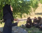 جنگل؛ سرمایه‌ای فراتر از چوب | برگزاری رویداد «روز انتقال یافته‌های تحقیقاتی» با محوریت ارزش‌گذاری خدمات بوم‌سازگان