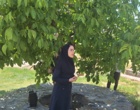 جنگل؛ سرمایه‌ای فراتر از چوب | برگزاری رویداد «روز انتقال یافته‌های تحقیقاتی» با محوریت ارزش‌گذاری خدمات بوم‌سازگان